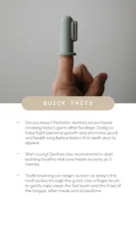 Mushie - Finger Toothbrush - C.Blue/Sand - Afbeelding 4