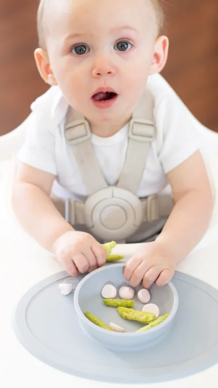 Ezpz Tiny Bowl